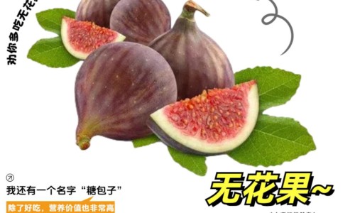 中药灸黄芪的作用与功效与作用及禁忌-什么叫灸黄芪专区_灸黄芪跟黄芪的功效区别专区_中药灸黄芪的作用与功效与作用网