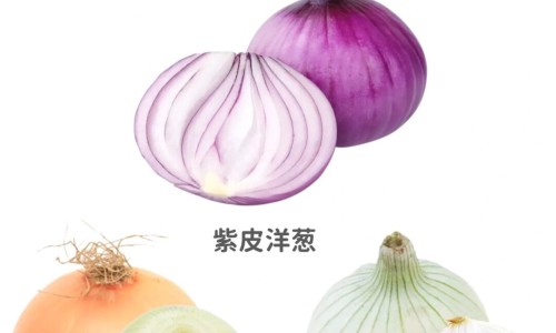 什么叫灸黄芪专区_灸黄芪跟黄芪的功效区别专区_中药灸黄芪的作用与功效与作用网