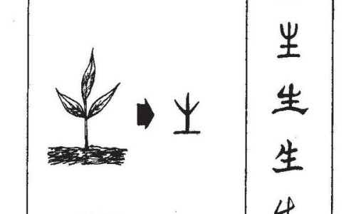 中药灸黄芪的作用与功效与作用及禁忌-什么叫灸黄芪专区_灸黄芪跟黄芪的功效区别专区_中药灸黄芪的作用与功效与作用网